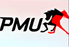 PMU